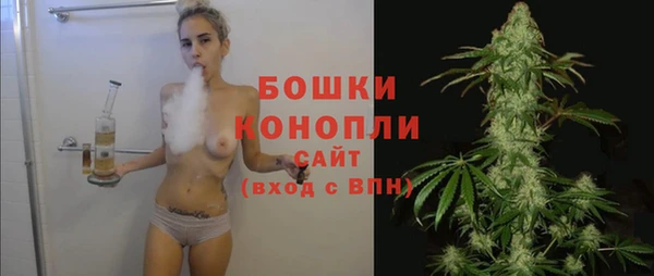стаф Михайловск
