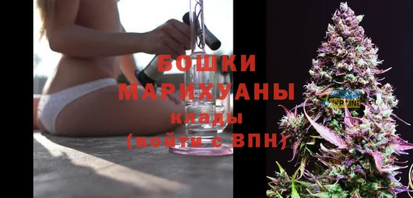 стаф Михайловск