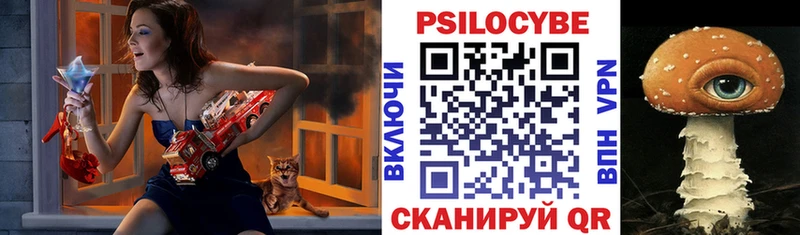 MEGA ТОР  Голицыно  Галлюциногенные грибы Magic Shrooms 